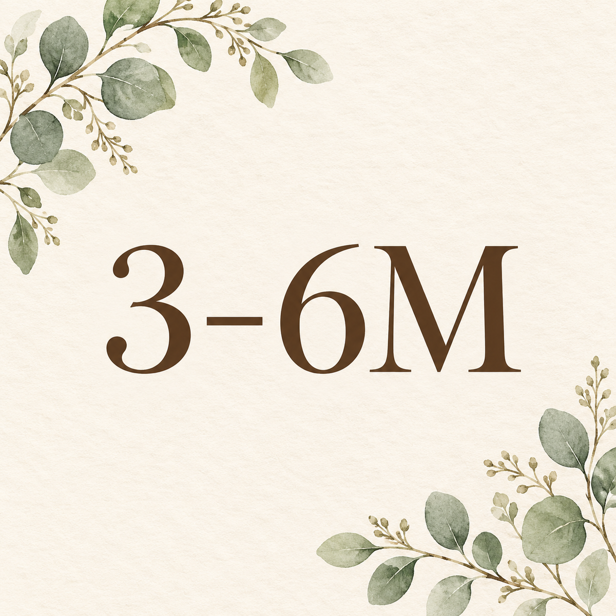 3-6M