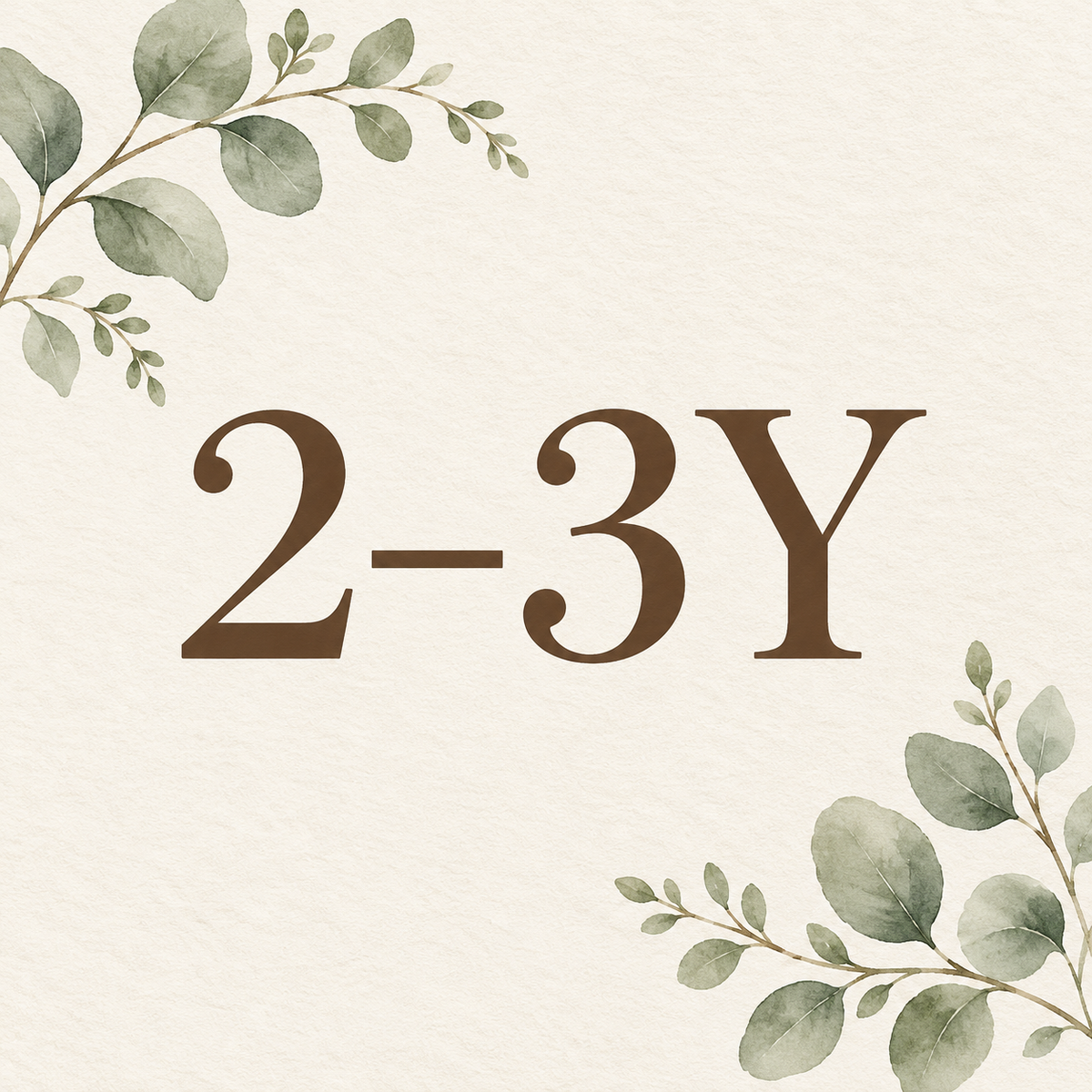 2-3Y