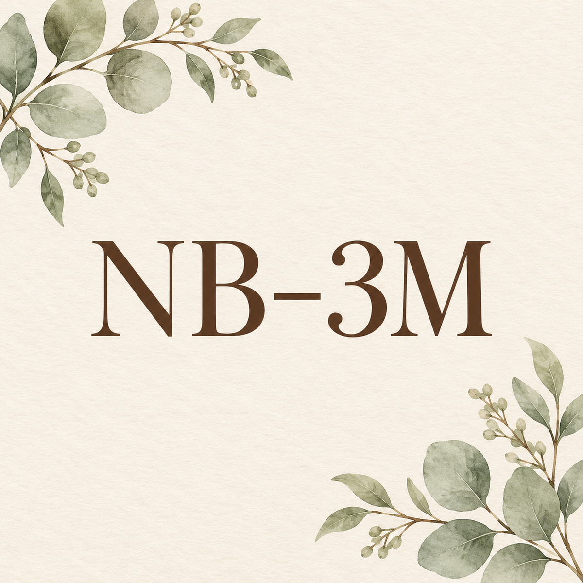 NB-3M